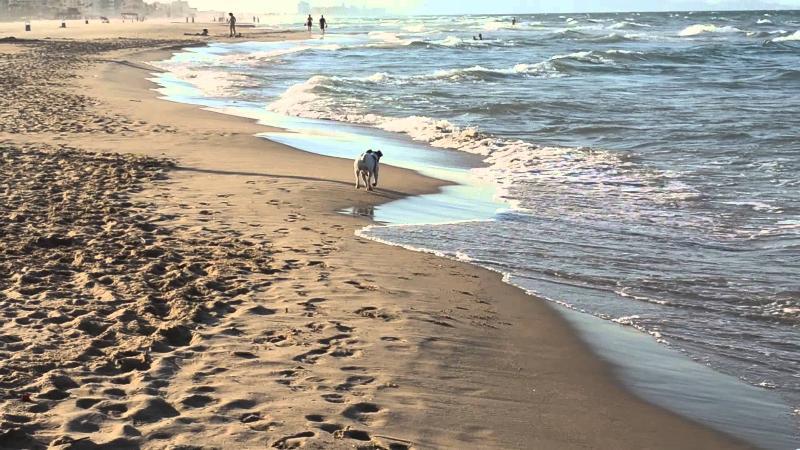 Apartamentos Gandia Playa De L'Ahuir 3000 エクステリア 写真